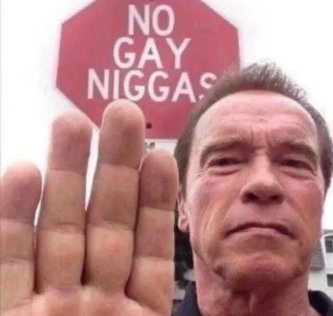 Arnold No Gay Niggas Sign