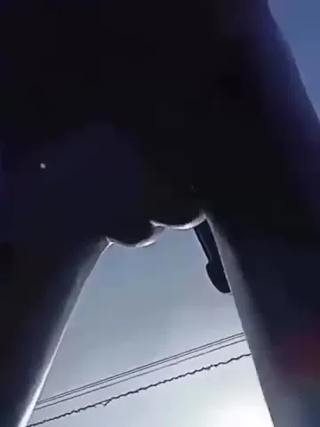 Рыцарь на коне снизу