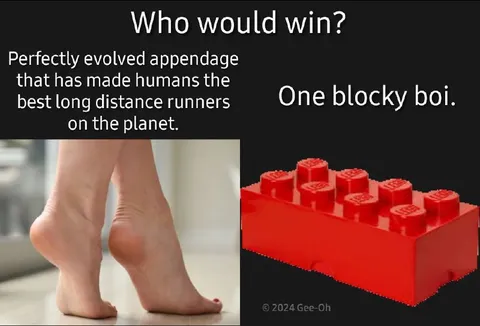 Evolved Feet Versus Blocky Brick