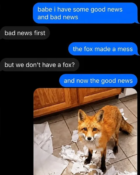 The Fox Made a Mess