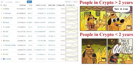 Crypto Experience This Is Fine