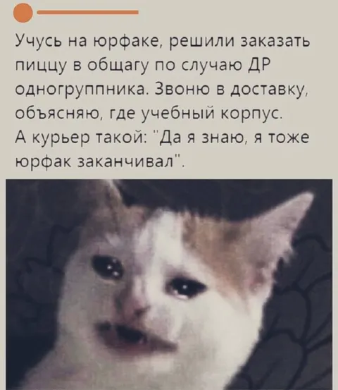 Курьер тоже заканчивал юрфак