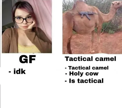 GF and Tactical Camel