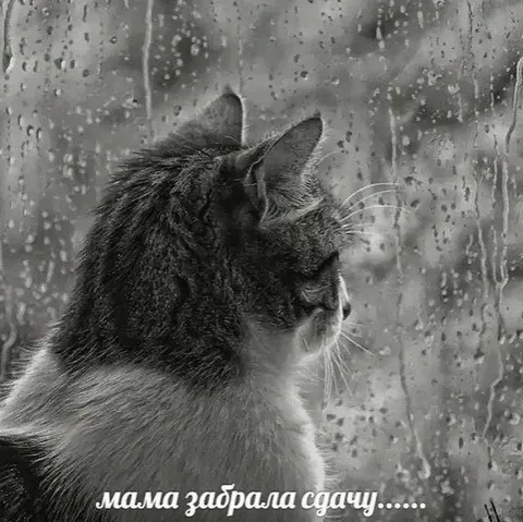 Мама забрала сдачу