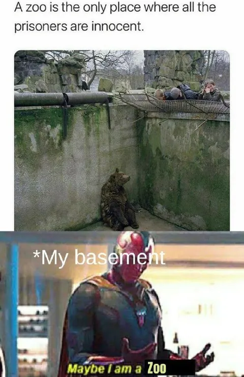 My Basement Is a Zoo