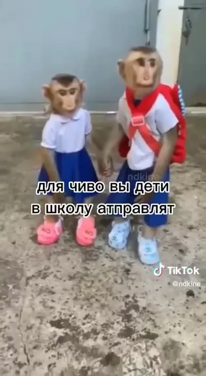 Обезьяны вместо школьников