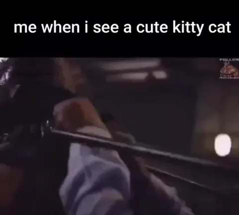 Me When I See a Cute Kitty Cat