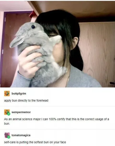 Apply Bun Directly to Forehead