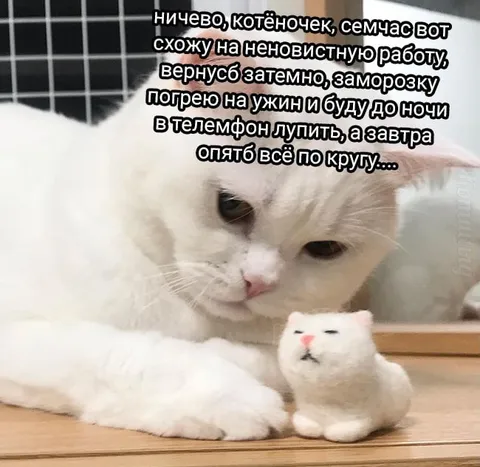 Котёнок и ненавистная работа