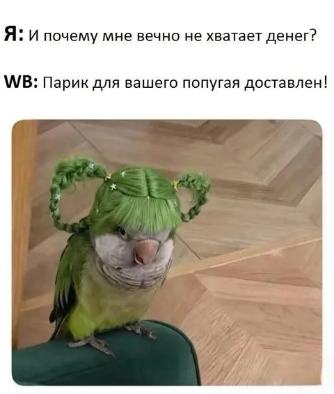 Парик для попугая за деньги