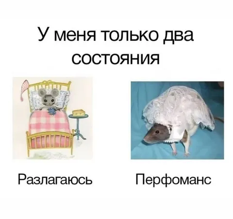 У меня только два состояния
