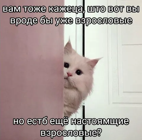 Настоящие взрослые