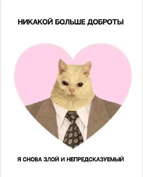 Снова злой и непредсказуемый кот