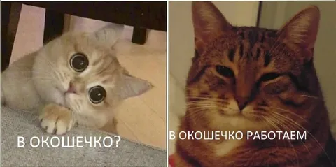 В окошечко работаем