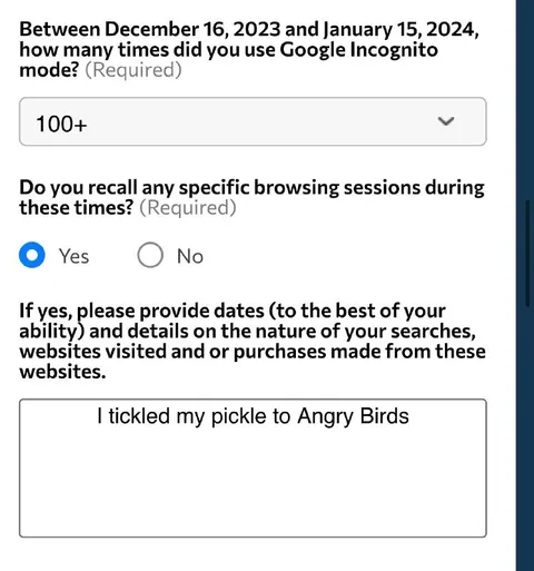 Incognito Browsing Questionnaire