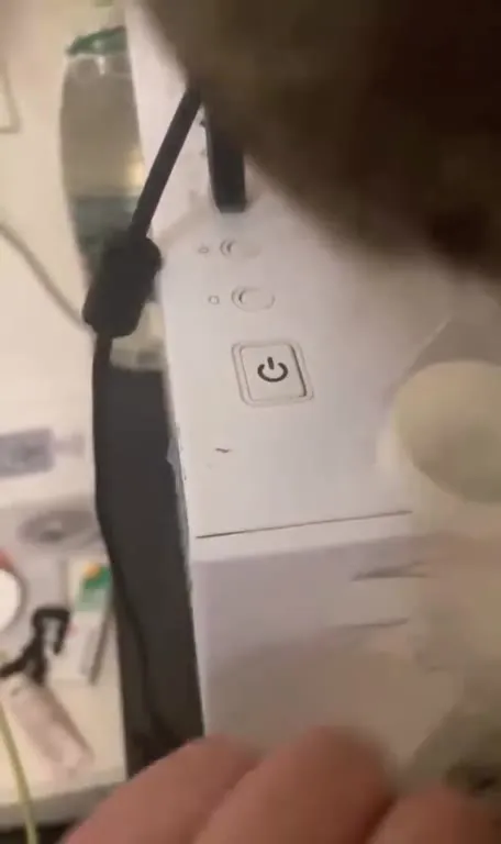 Кот захватывает Сбер
