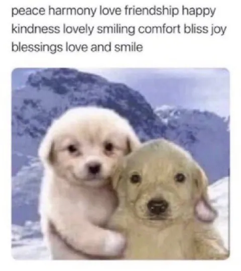 Peace Love Friendship Puppies