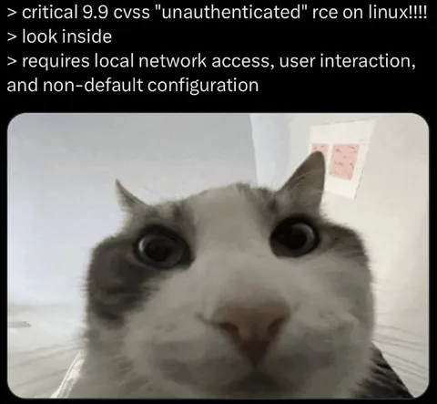 Critical Linux Vulnerability Cat