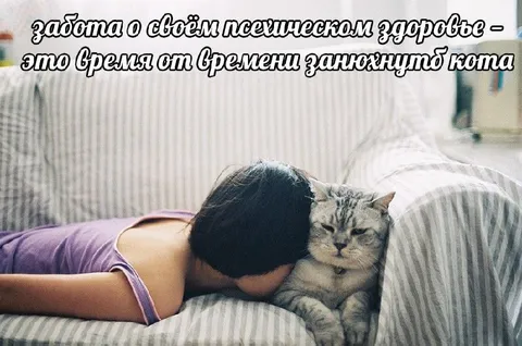 Запихивать кота для здоровья