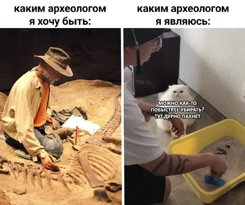 Каким археологом я являюсь