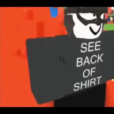 See Front, See Back Shirt