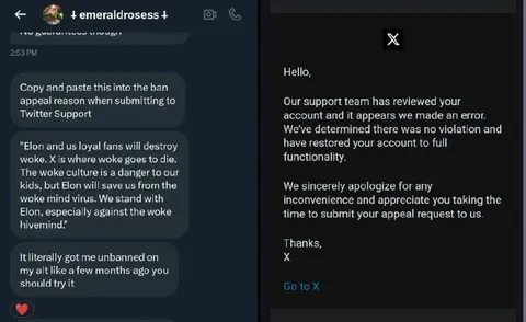 X Account Unban Appeal
