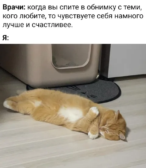 Кот спит в обнимку с собой