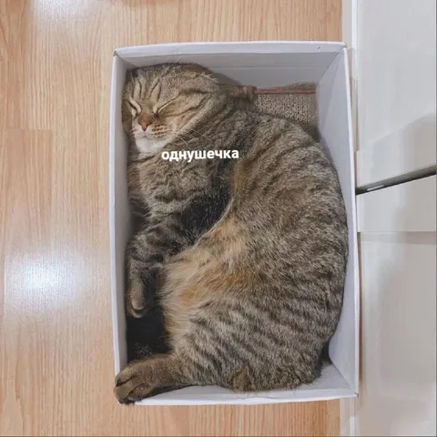 Одиночечка в коробке