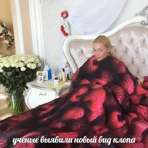 Учёные выявили новый вид клопа
