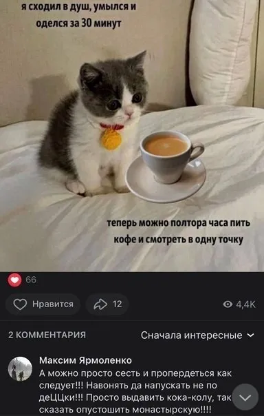 Полтора часа пить кофе