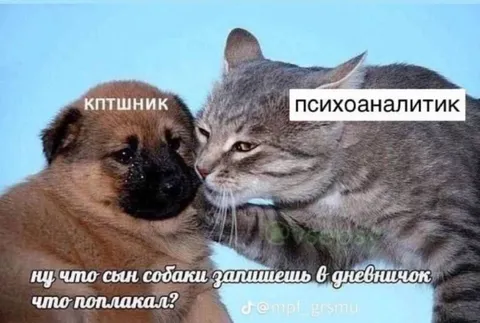 КПТшник и психоаналитик