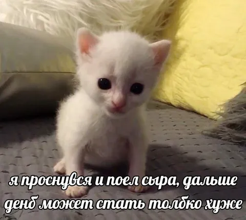 День может стать только хуже