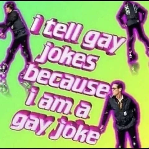 I Am a Gay Joke