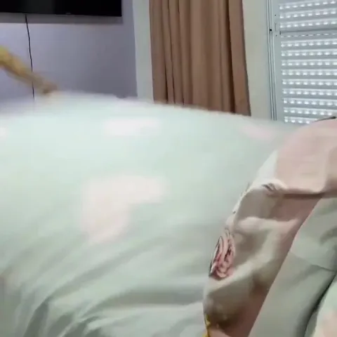 Quando terminei de limpar tudo