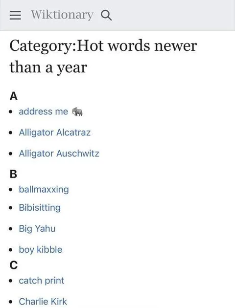 Hot Words Newer Than a Year