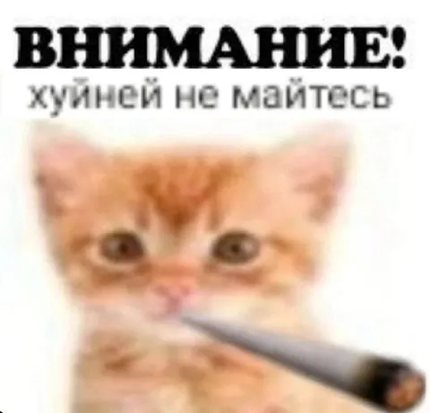 Внимание, хуйне́й не майтесь