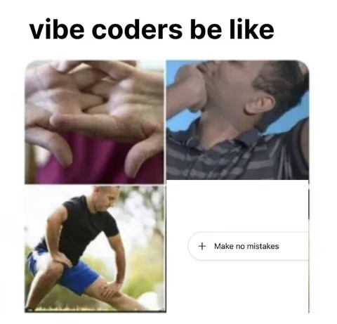 Vibe Coders Make No Mistakes