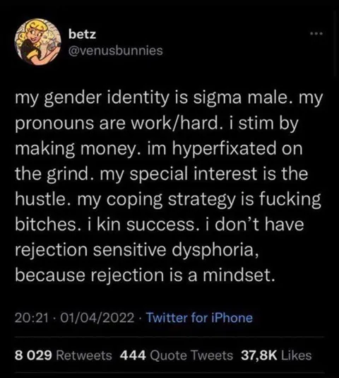 Sigma Male Gender Identity