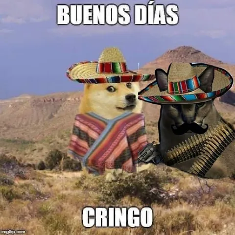 Buenos días cringo