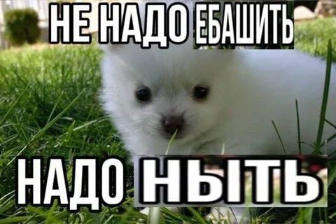 Не надо ебашить, надо ныть