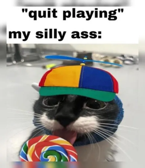 Quit Playing My Silly Ass