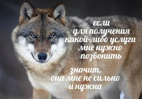 Если нужно звонить — не нужно