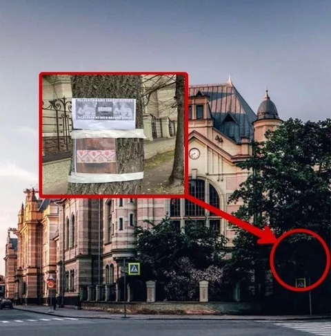 Странные объявления на дереве