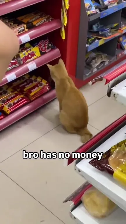 Bro Has No Money for Snacks