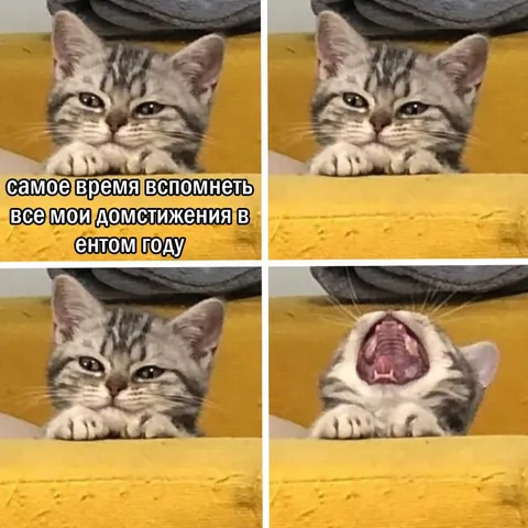 Вспомнить достижения за год