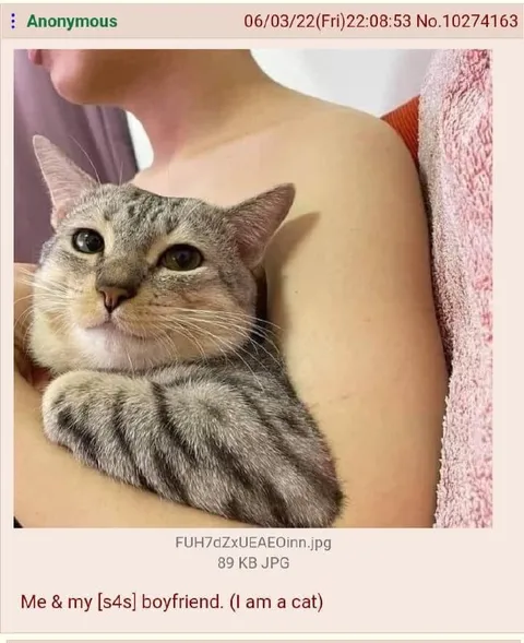 Me and My Boyfriend Cat
