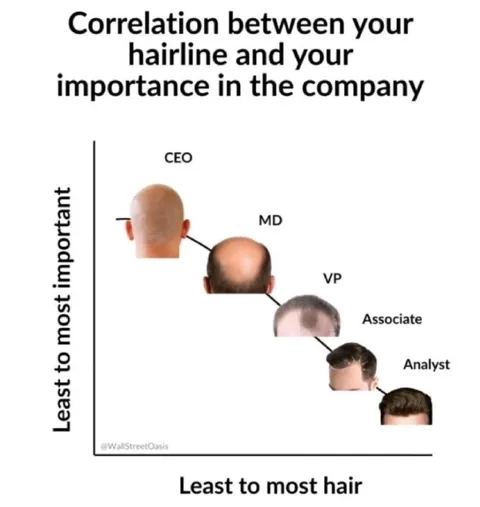 Hairline Company Importance Chart