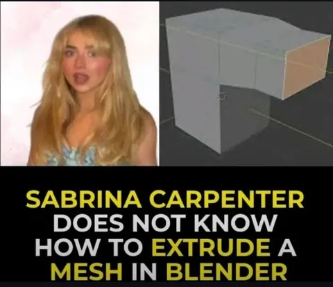 Sabrina Carpenter Cannot Extrude a Mesh
