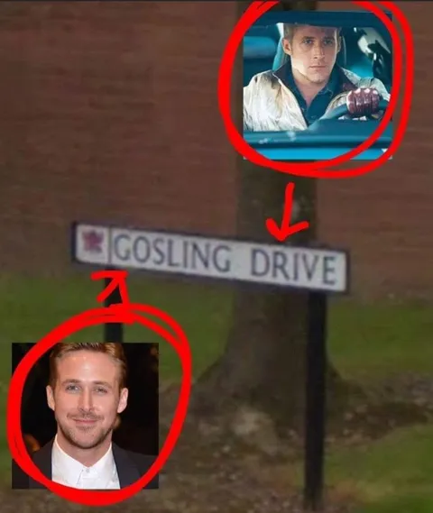 Gosling Drive Street Sign