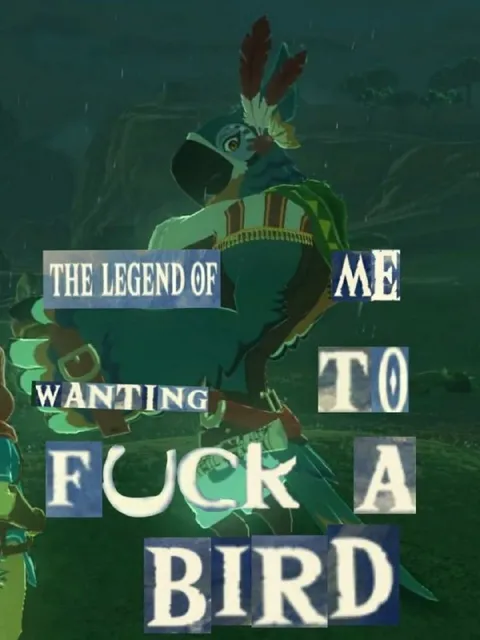 The Legend of Me Wanting to Fuck a Bird